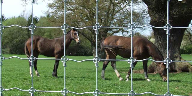 Fencing-in-kent-equine-fencing-tab